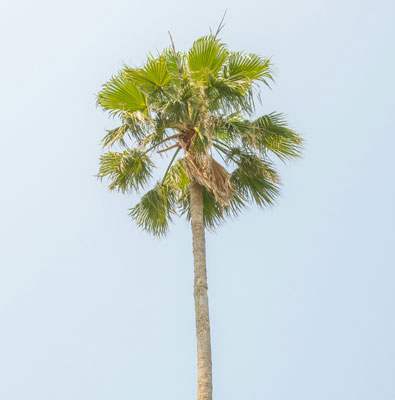 驰采平台展示图3